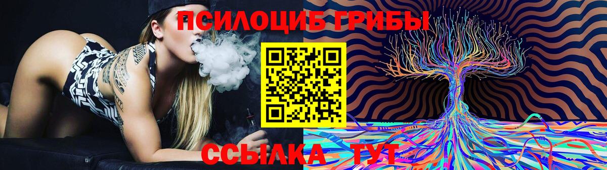 Галлюциногенные грибы Psilocybine cubensis Комсомольск-на-Амуре